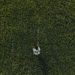 Hidden Gems - A person is standing in the middle of a field