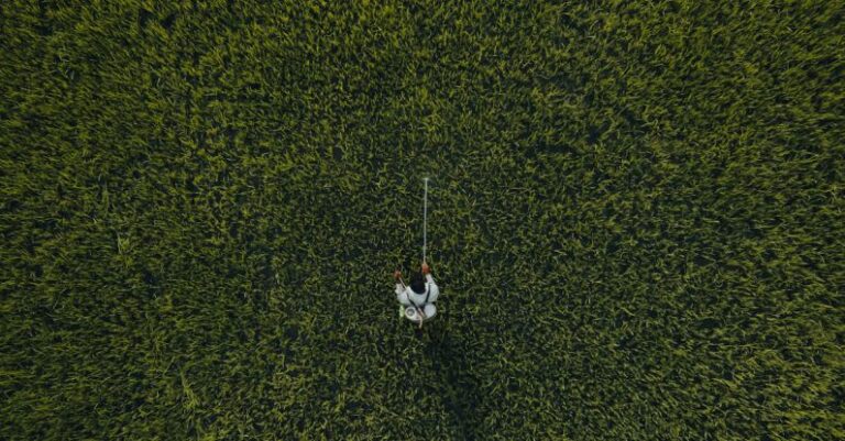 Hidden Gems - A person is standing in the middle of a field