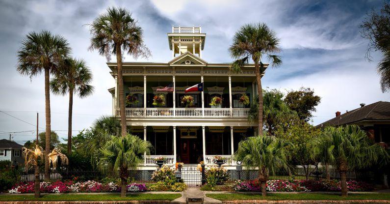Urban Gardens - White Painted Structure With Green Palm Trees in the Front