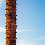 Public Art - A tall tower with a large wooden structure on top
