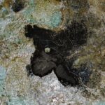 Cheap Travel - A small black rock in the middle of the ocean