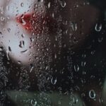 Romantic Getaway - Free stock photo of flower, red rose, rose