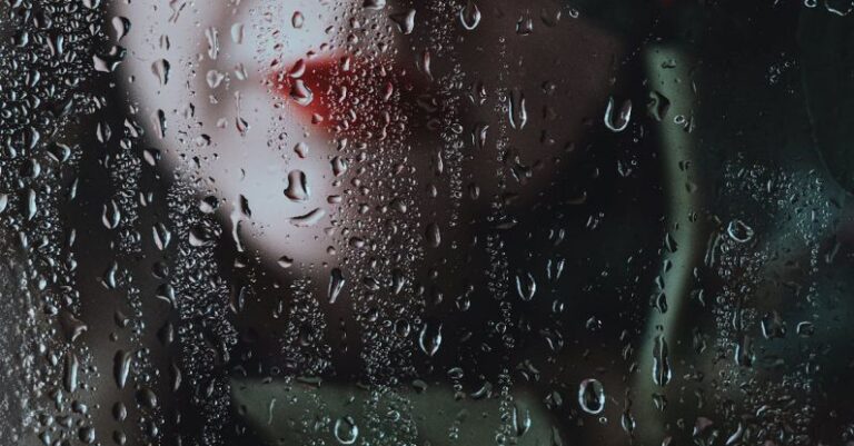 Romantic Getaway - Free stock photo of flower, red rose, rose